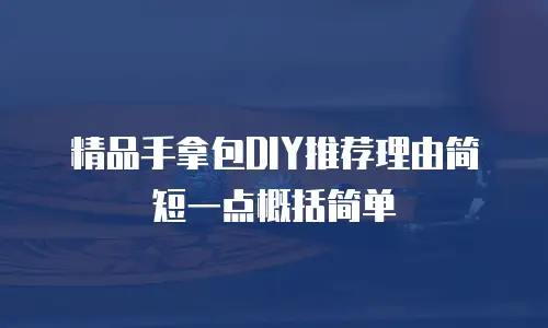 精品手拿包DIY推荐理由简短一点概括简单