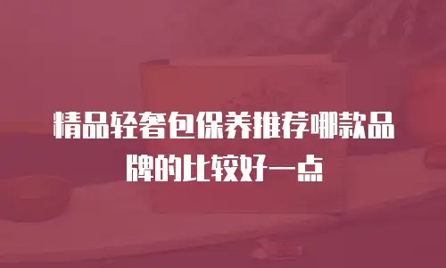 精品轻奢包保养推荐哪款品牌的比较好一点
