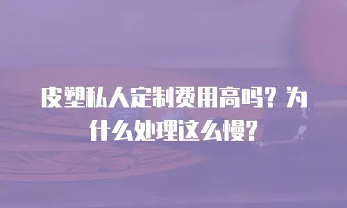 皮塑私人定制费用高吗？为什么处理这么慢？