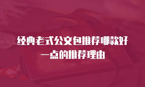 经典老式公文包推荐哪款好一点的推荐理由