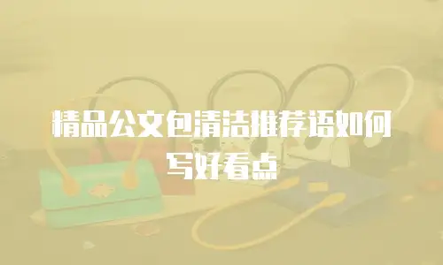 精品公文包清洁推荐语如何写好看点