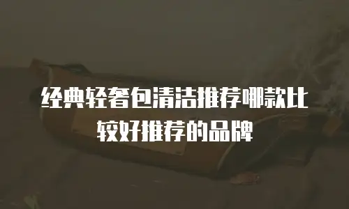 经典轻奢包清洁推荐哪款比较好推荐的品牌
