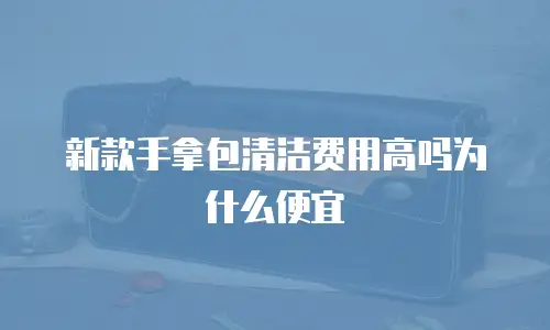 新款手拿包清洁费用高吗为什么便宜