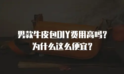 男款牛皮包DIY费用高吗？为什么这么便宜？