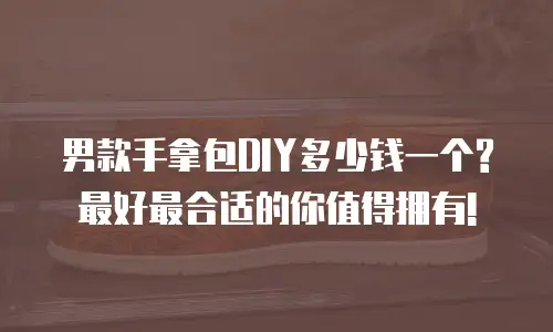 男款手拿包DIY多少钱一个?最好最合适的你值得拥有!