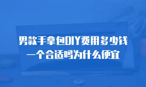 男款手拿包DIY费用多少钱一个合适吗为什么便宜