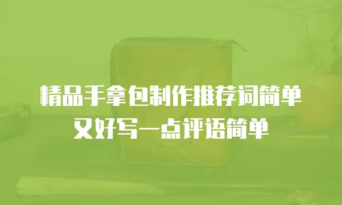 精品手拿包制作推荐词简单又好写一点评语简单