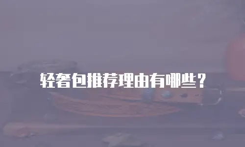 轻奢包推荐理由有哪些？
