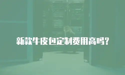 新款牛皮包定制费用高吗？