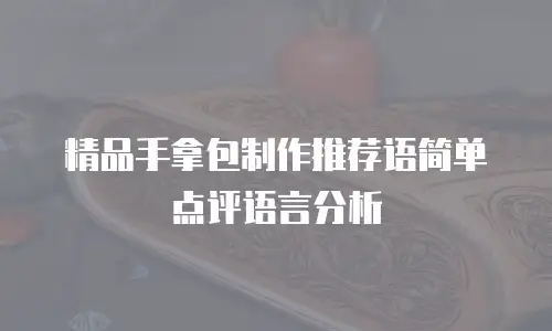 精品手拿包制作推荐语简单点评语言分析