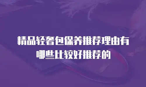 精品轻奢包保养推荐理由有哪些比较好推荐的