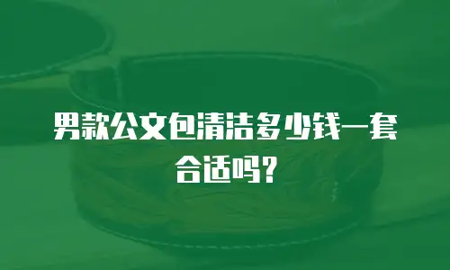 男款公文包清洁多少钱一套合适吗？