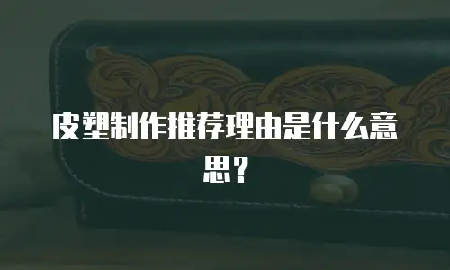 皮塑制作推荐理由是什么意思？