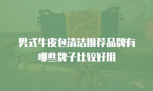 男式牛皮包清洁推荐品牌有哪些牌子比较好用
