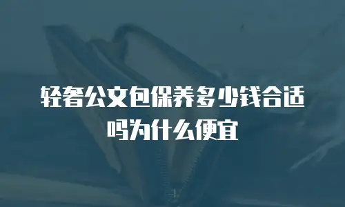 轻奢公文包保养多少钱合适吗为什么便宜
