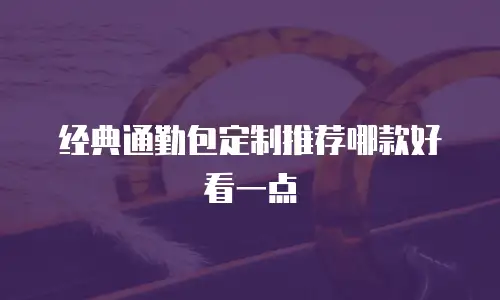 经典通勤包定制推荐哪款好看一点