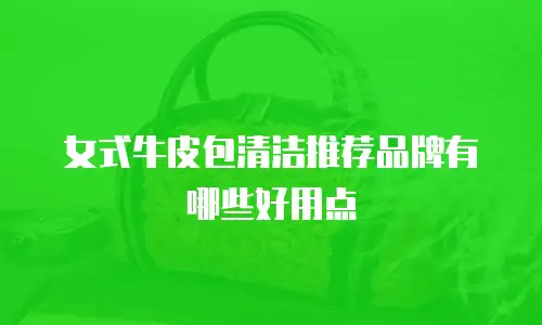 女式牛皮包清洁推荐品牌有哪些好用点