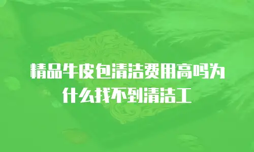 精品牛皮包清洁费用高吗为什么找不到清洁工