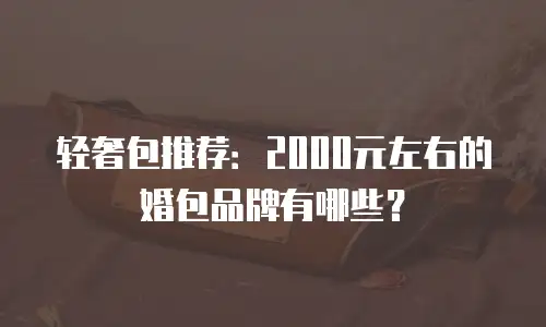 轻奢包推荐：2000元左右的婚包品牌有哪些？
