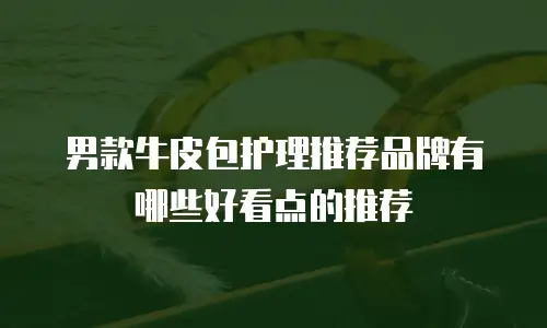 男款牛皮包护理推荐品牌有哪些好看点的推荐