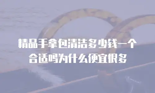 精品手拿包清洁多少钱一个合适吗为什么便宜很多