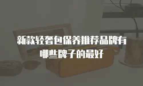 新款轻奢包保养推荐品牌有哪些牌子的最好