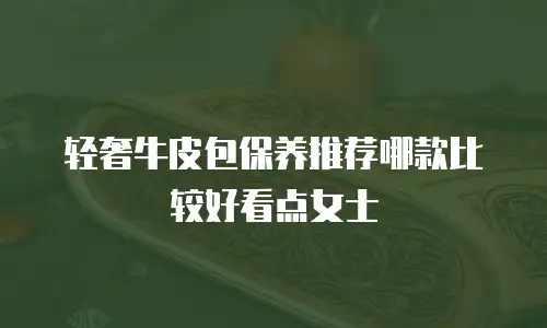 轻奢牛皮包保养推荐哪款比较好看点女士