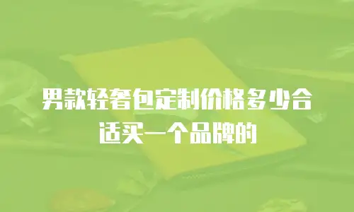 男款轻奢包定制价格多少合适买一个品牌的