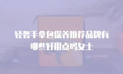轻奢手拿包保养推荐品牌有哪些好用点吗女士