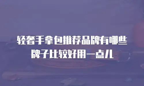轻奢手拿包推荐品牌有哪些牌子比较好用一点儿