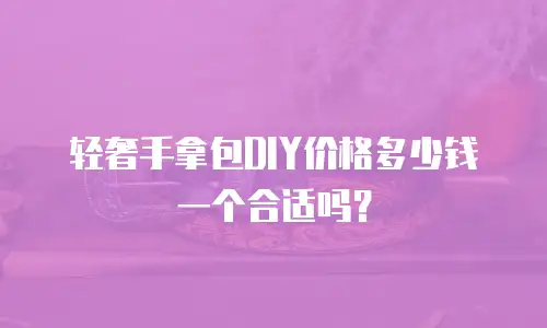 轻奢手拿包DIY价格多少钱一个合适吗？