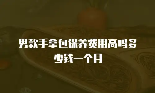 男款手拿包保养费用高吗多少钱一个月