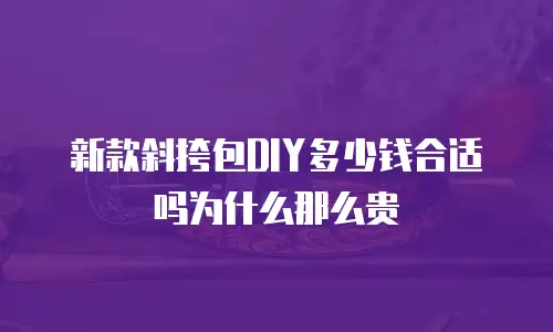 新款斜挎包DIY多少钱合适吗为什么那么贵