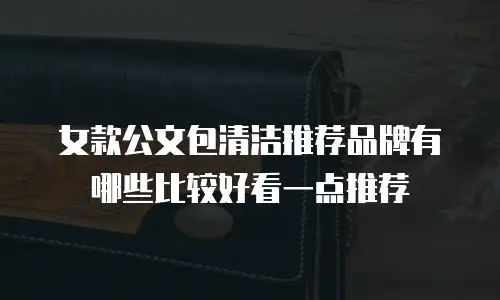 女款公文包清洁推荐品牌有哪些比较好看一点推荐