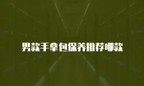男款手拿包保养推荐哪款