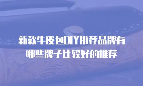 新款牛皮包DIY推荐品牌有哪些牌子比较好的推荐
