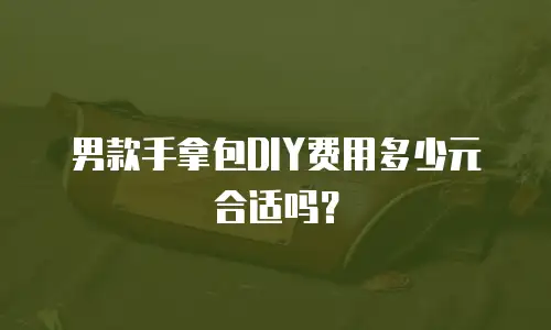 男款手拿包DIY费用多少元合适吗？