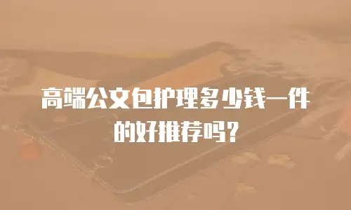 高端公文包护理多少钱一件的好推荐吗？
