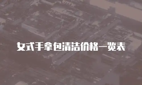 女式手拿包清洁价格一览表
