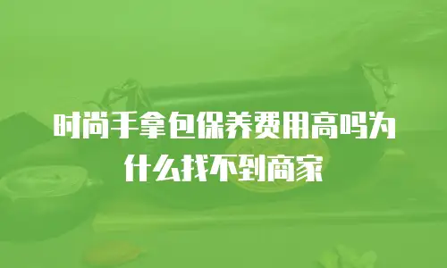 时尚手拿包保养费用高吗为什么找不到商家