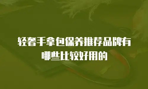 轻奢手拿包保养推荐品牌有哪些比较好用的