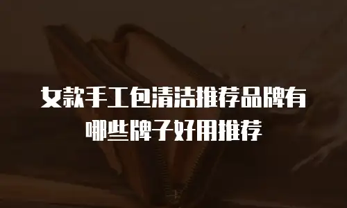 女款手工包清洁推荐品牌有哪些牌子好用推荐