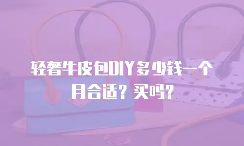 轻奢牛皮包DIY多少钱一个月合适？买吗？