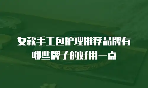 女款手工包护理推荐品牌有哪些牌子的好用一点