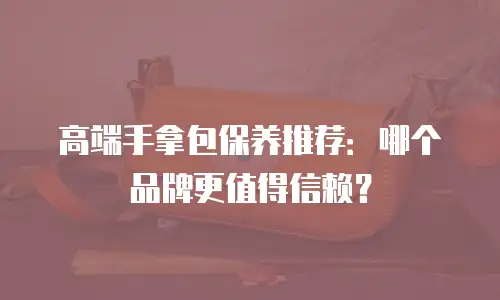 高端手拿包保养推荐：哪个品牌更值得信赖？