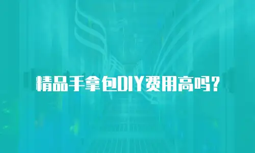 精品手拿包DIY费用高吗？