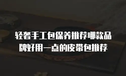 轻奢手工包保养推荐哪款品牌好用一点的皮带包推荐