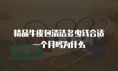 精品牛皮包清洁多少钱合适一个月吗为什么