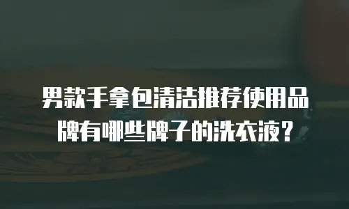 男款手拿包清洁推荐使用品牌有哪些牌子的洗衣液？