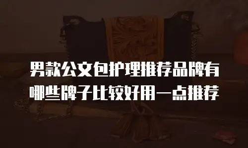 男款公文包护理推荐品牌有哪些牌子比较好用一点推荐